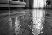 Water Everywhere